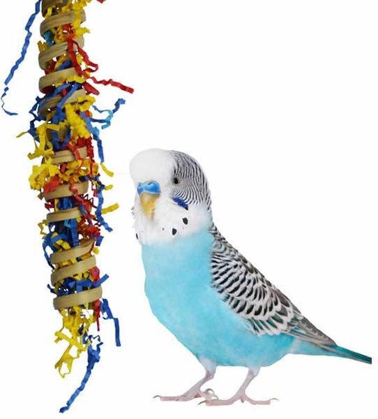 Super Bird Creations Fiesta Millet Holder Bird Toy， Small/Medium