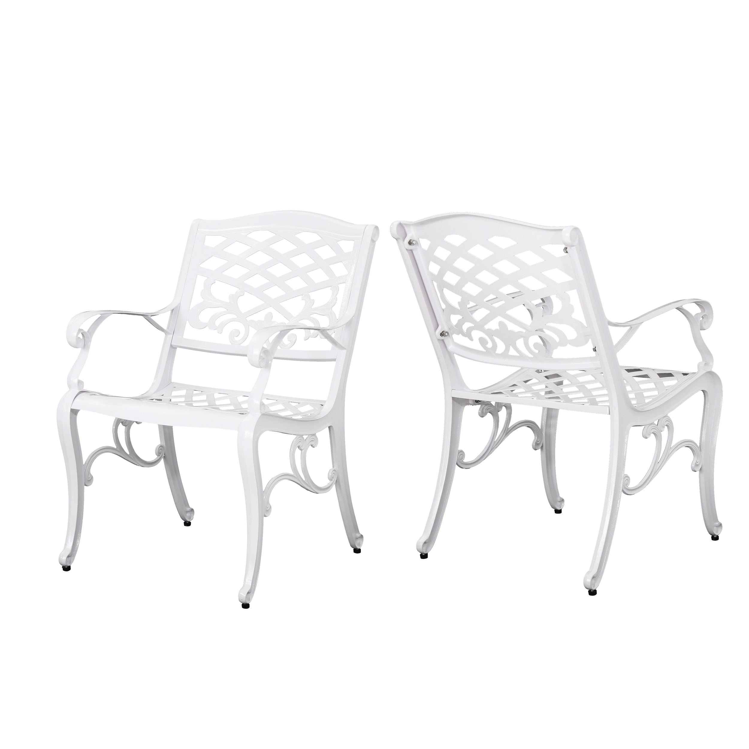 Tsa Outdoor Cast Aluminum Arm Chair (Set of 2)