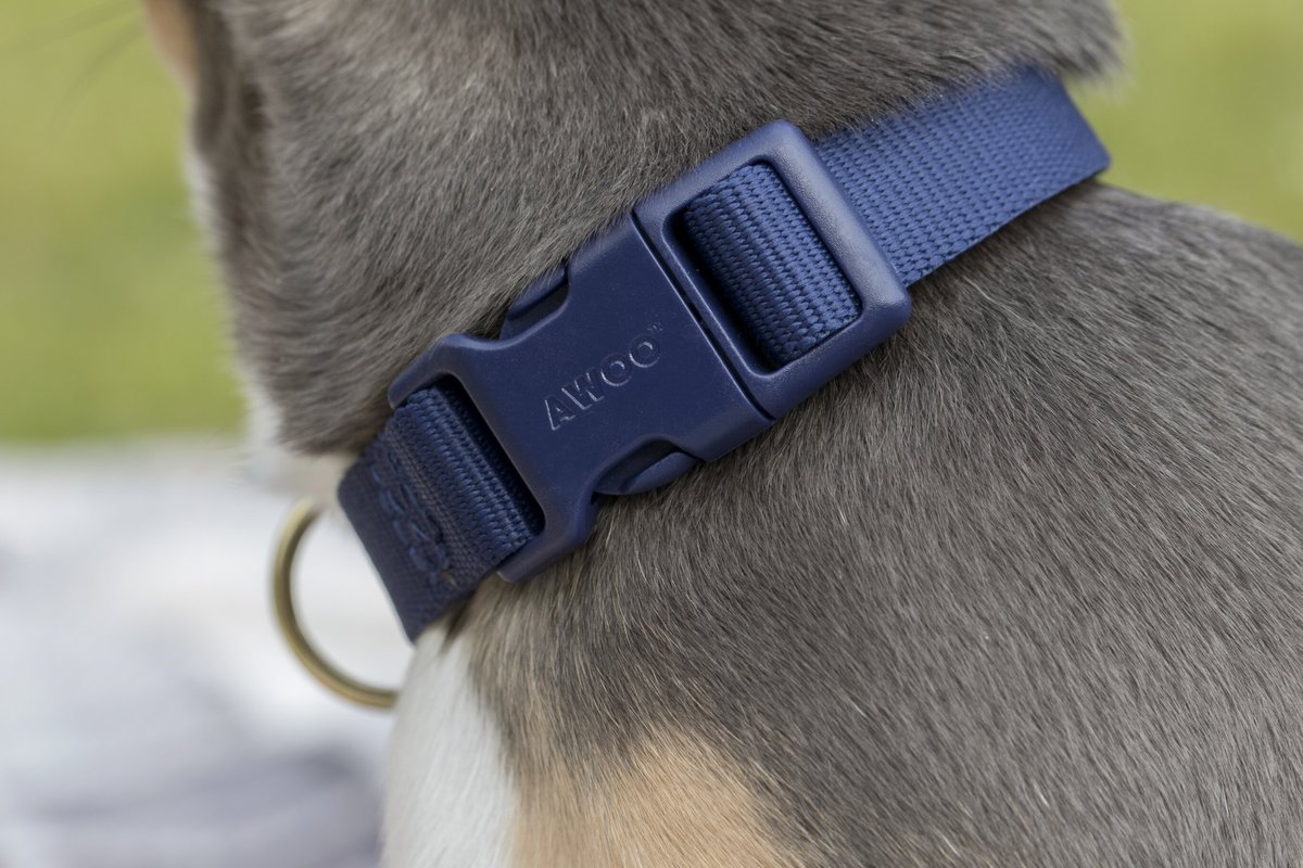 Awoo Pack Standard Dog Collar