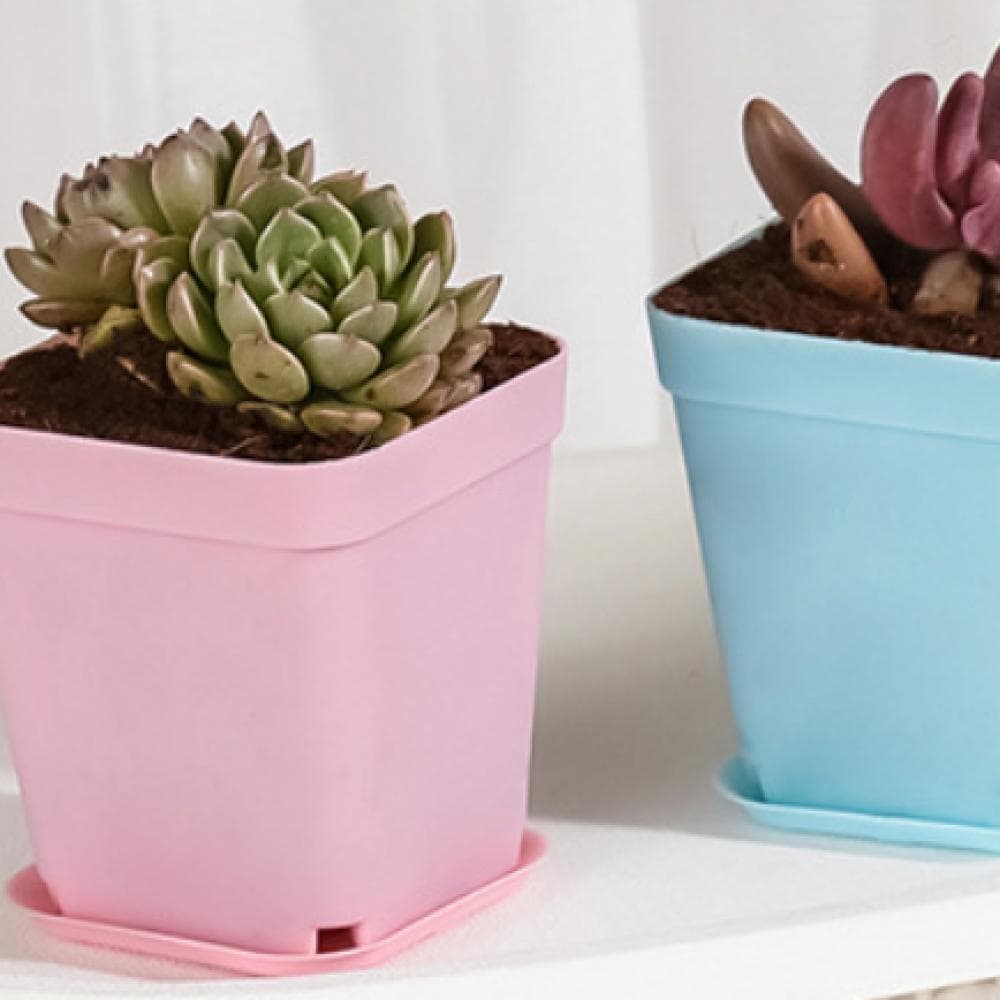 AgfabricSmall Multicolored Plant Nursery Pots 3\