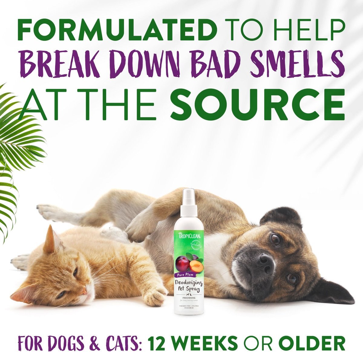 TropiClean Pure Plum Deodorizing Dog and Cat Spray