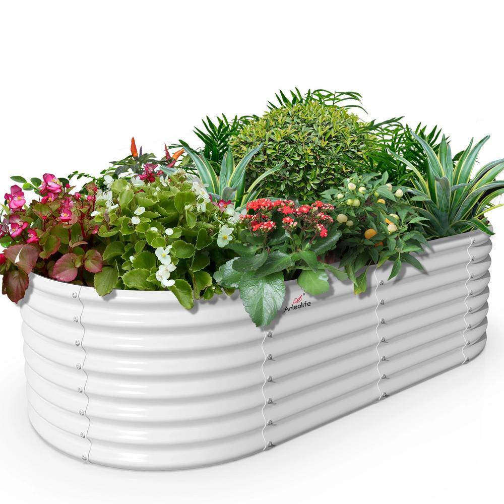 Cesicia 6 ft. L x 3 ft. W x 2 ft. H Outdoor White Galvanized Steel Raised Garden Bed Oval Above Ground Modular Planter Boxes ANG002bedwy