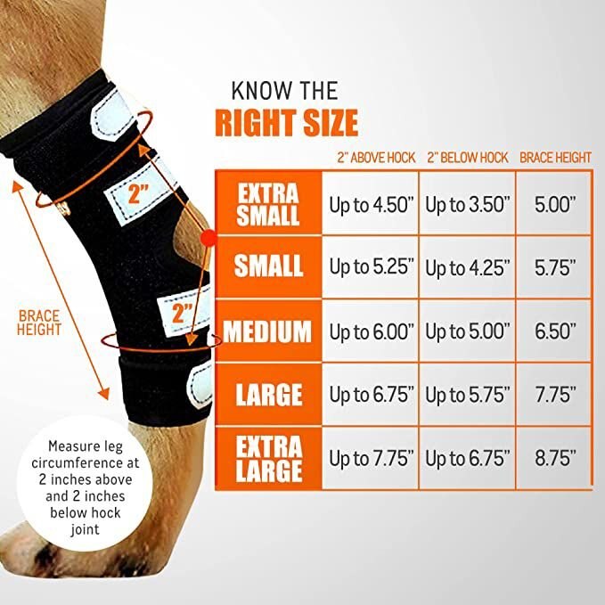 NeoAlly 3-in-1 Long Rear Leg Support Dog Splint Braces