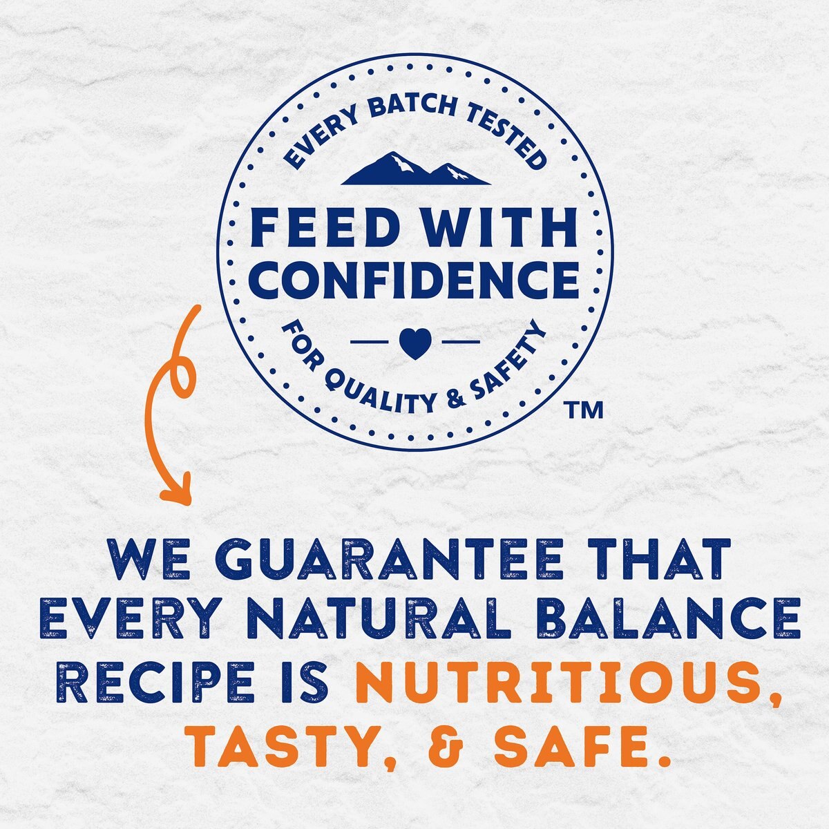 Natural Balance Platefulls Savory Duck and Pumpkin Recipe Wet Dog Food， 9-oz pouch， case of 6