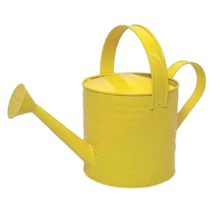 Stylish Metal Watering can taking care of your plant garden Use for Outdoor House Plants Kitchen Metal Garden Terrace Water Cans