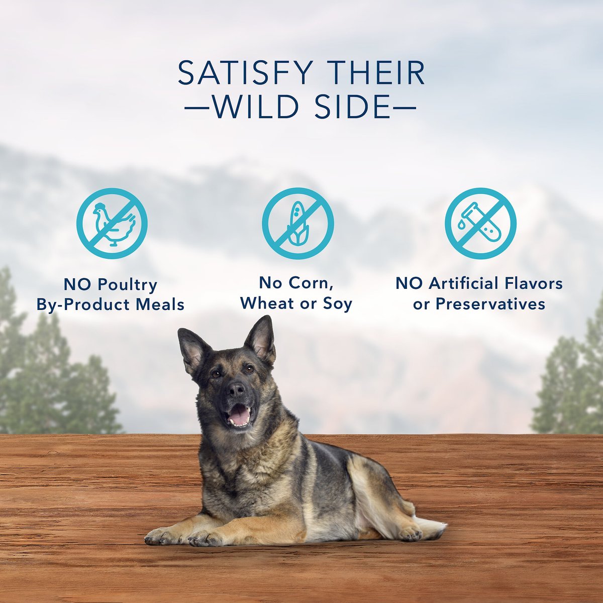 Blue Buffalo Wilderness Wild Bones Grain-Free Mini Dental Dog Treats