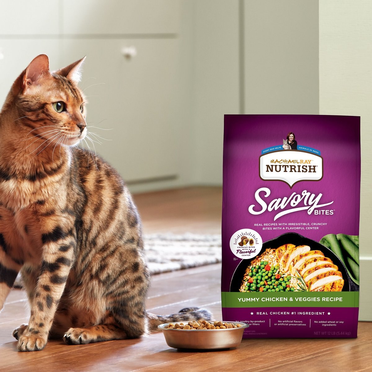 Rachael Ray Nutrish Savory Bites Yummy Chicken and Veggies Recipe Dry Cat Food， 5-lb bag