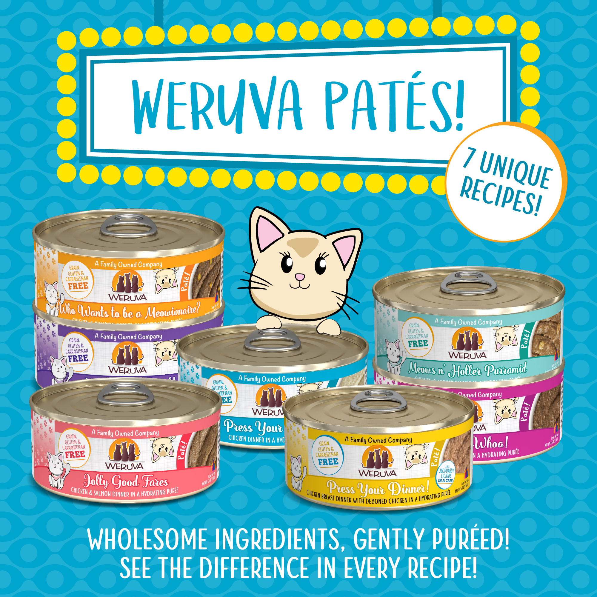 Weruva Pate Press Your Lunch! Chicken Dinner in a Hydrating Puree Wet Cat Food， 3 oz.， Case of 12