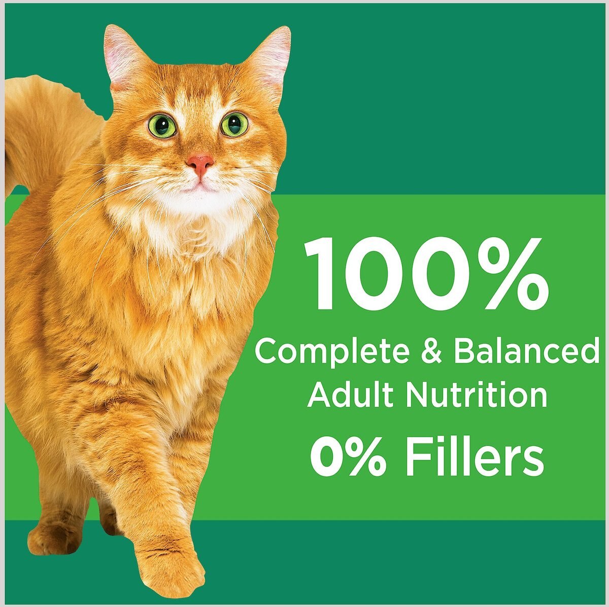 Iams ProActive Health Healthy Senior Dry Cat Food