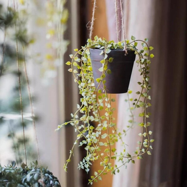 RusticReach Hanging Faux Ceropegia Vine in Pot