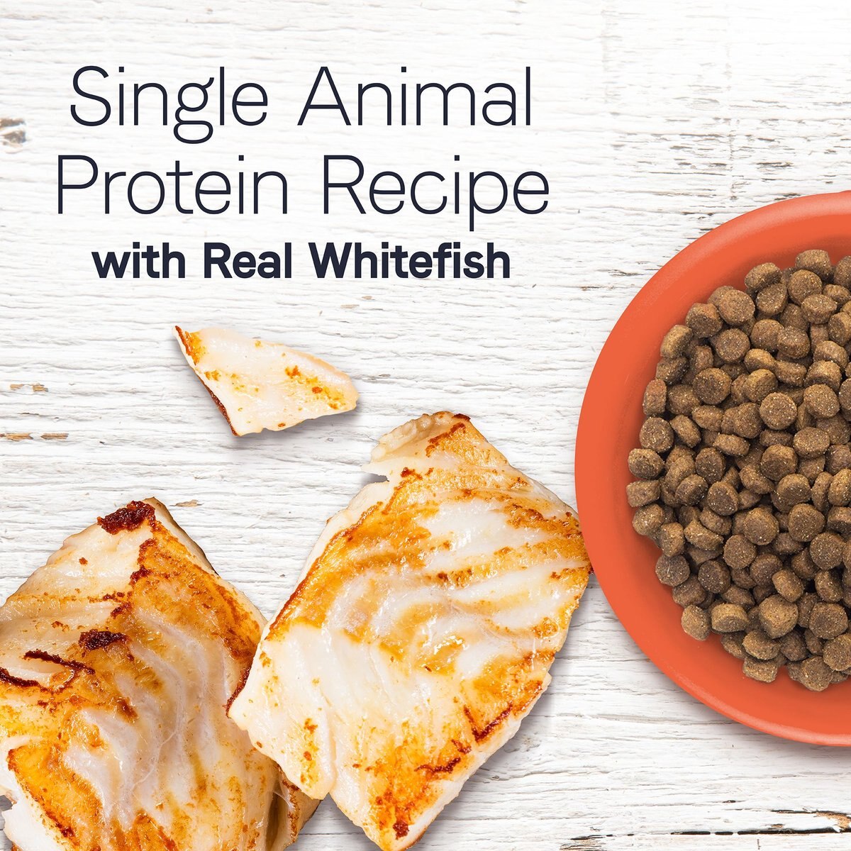 CANIDAE Under the Sun Grain-Free Adult Whitefish Recipe Dry Dog Food