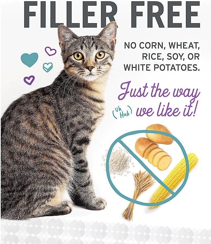 I and Love and You Variety Pack Wholly Cow!， Savory Salmon and Purrky Turkey Pate Canned Cat Food