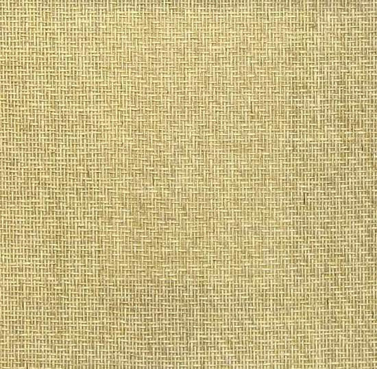 Sample Paper Weave Wallpaper in Light Tan from the Winds of the Asian Pacific Collection by Burke Decor