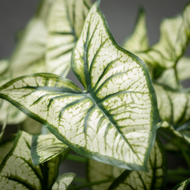 Sullivans Artificial Syngonium Variegated Leaf Bush 19