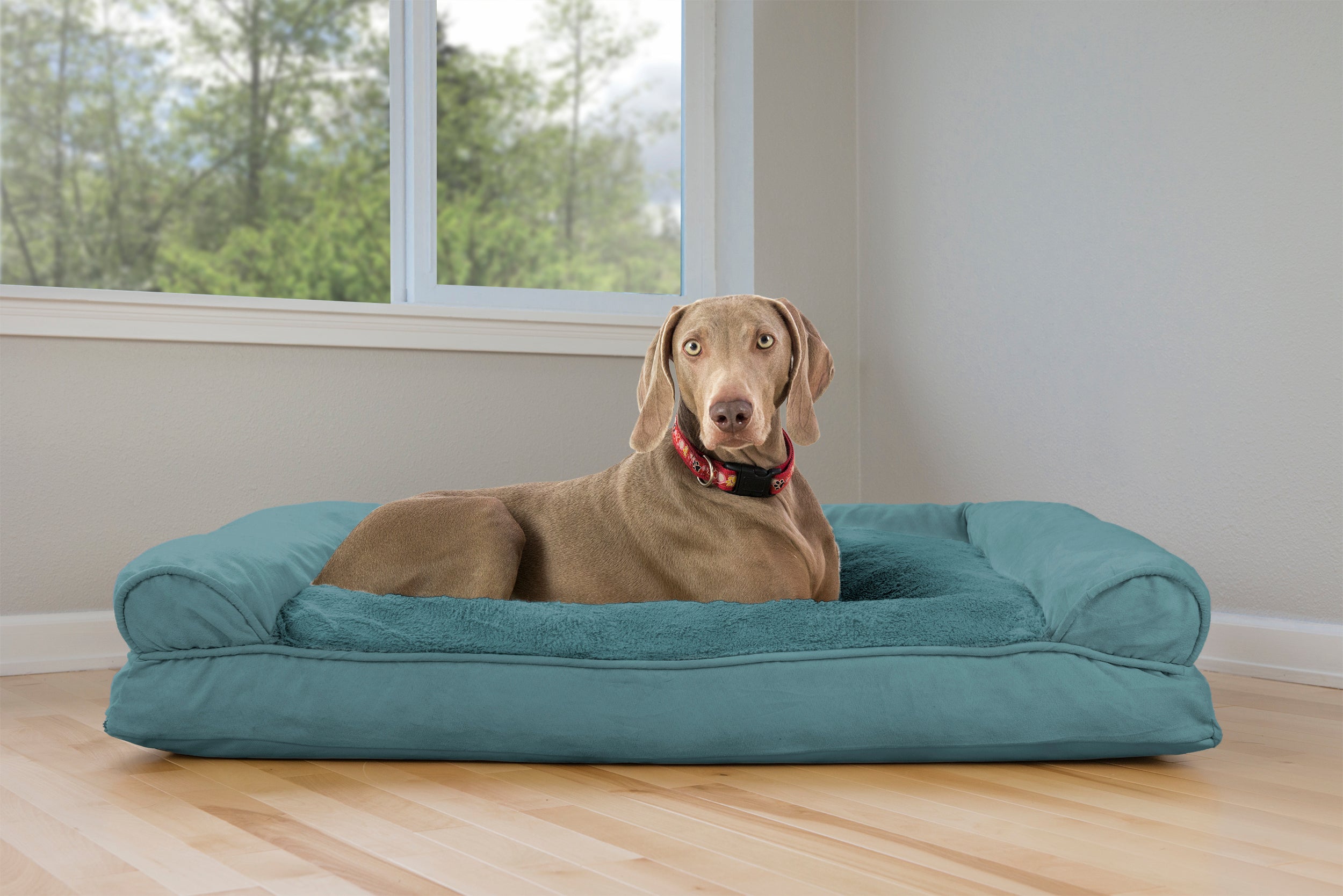 FurHaven Pet Products | Plush and Suede Pillow Sofa Pet Bed for Dogs and Cats， Deep Pool， Jumbo