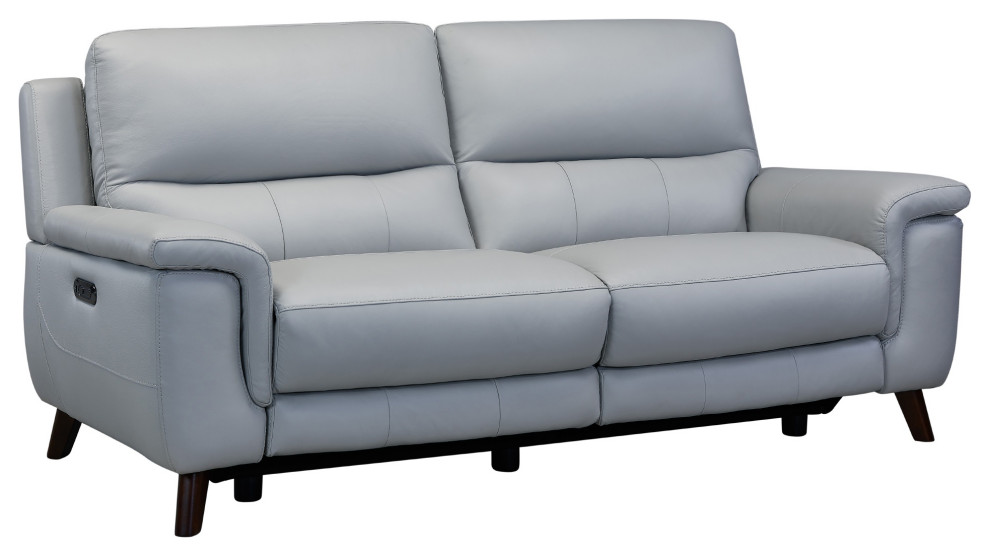 Lizette Contemporary Sofa  Dark Brown Wood Finish  ampDove Gray Genuine Leather   Midcentury   Sofas   by HedgeApple  Houzz