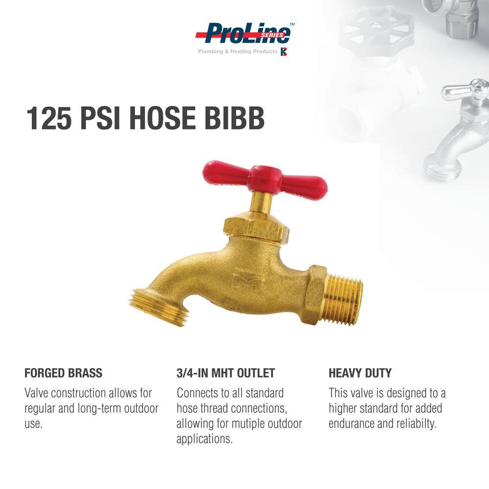 ProLine Series 12 in. x 34 in. Brass FPT x MHT Heavy-Duty Hose Bibb 103-013HN