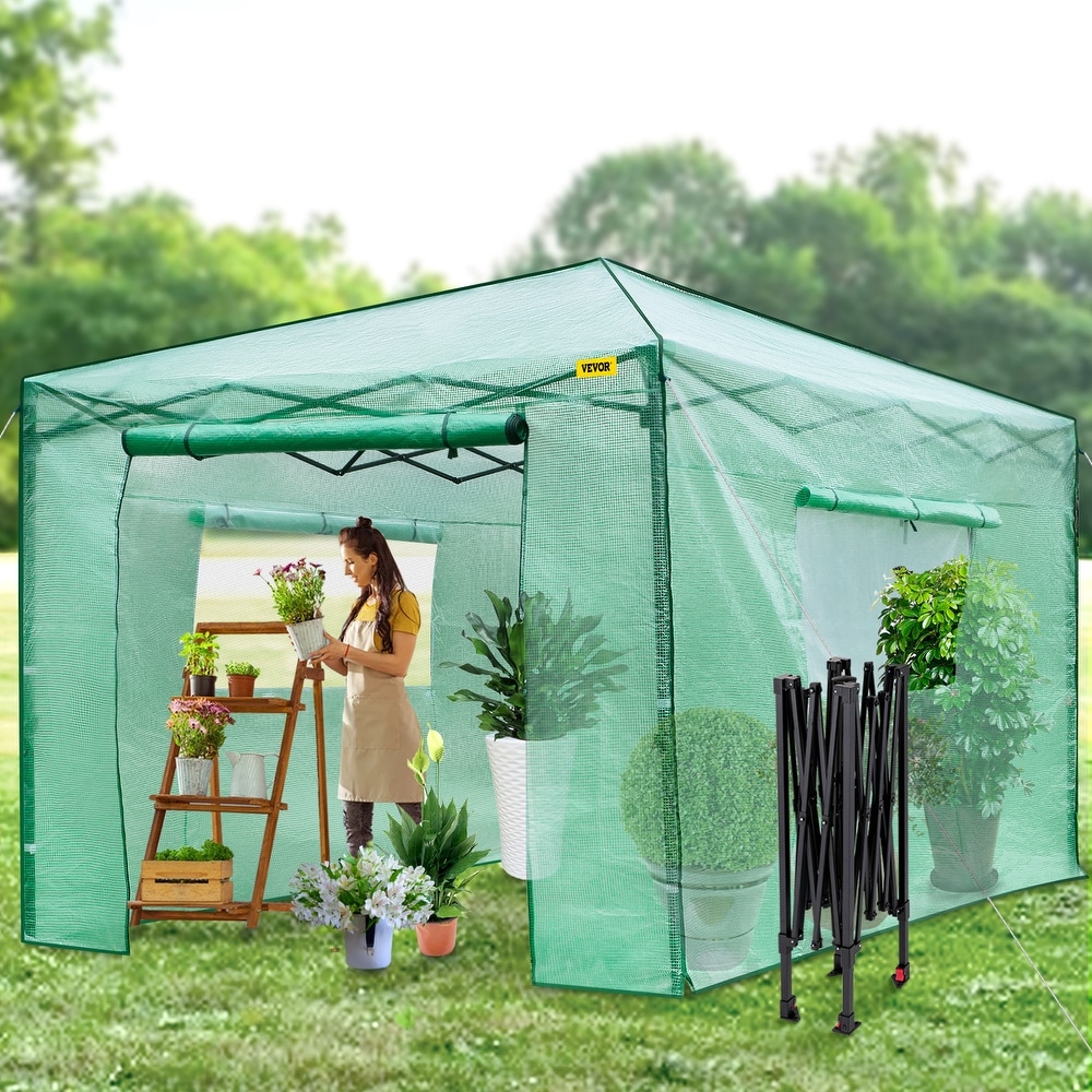 VEVOR Pop Up Greenhouse Portable Greenhouse with Doors   Windows Set Up in Minutes