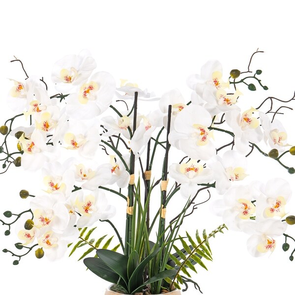 7 Stems Real Touch Phalaenopsis Plastic Orchids with Green Leaf in White Ceramic Pot