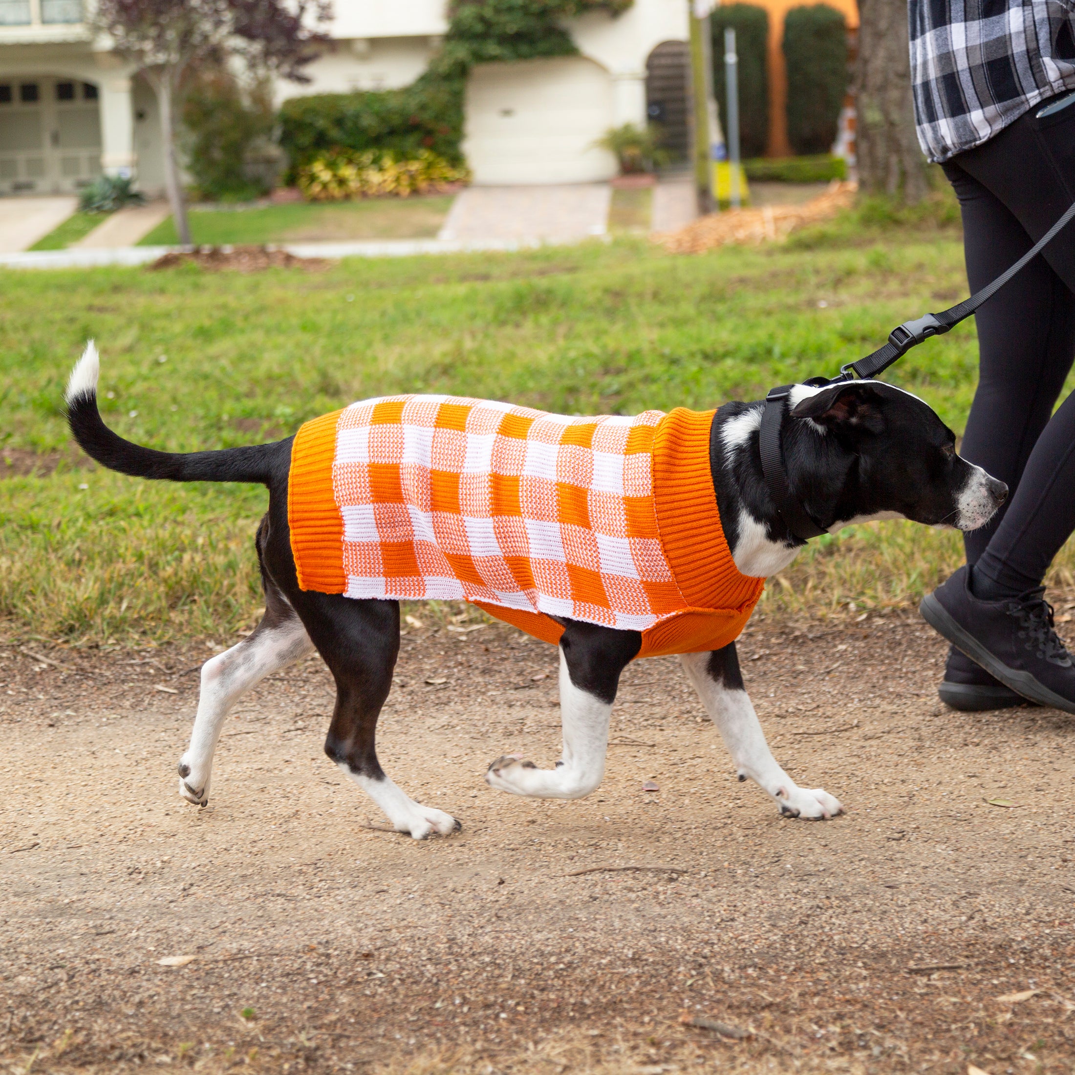 Vibrant Life Halloween Dog Clothes， Orange Buffalo Checkered Sweater， for Dogs or Cats， Size Small