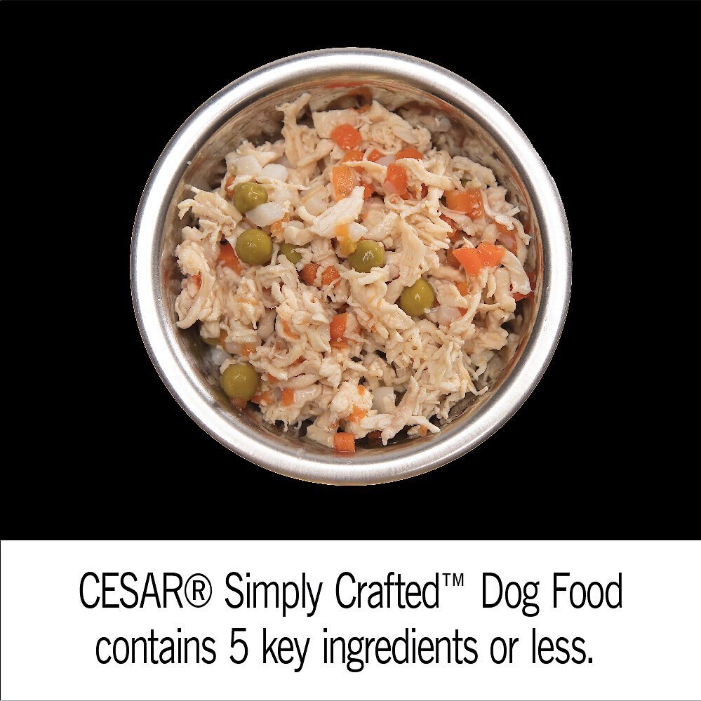 Cesar Simply Crafted Chicken Cuisine Complement Adult Wet Dog Food Topper， 1.3-oz tubs， case of 24