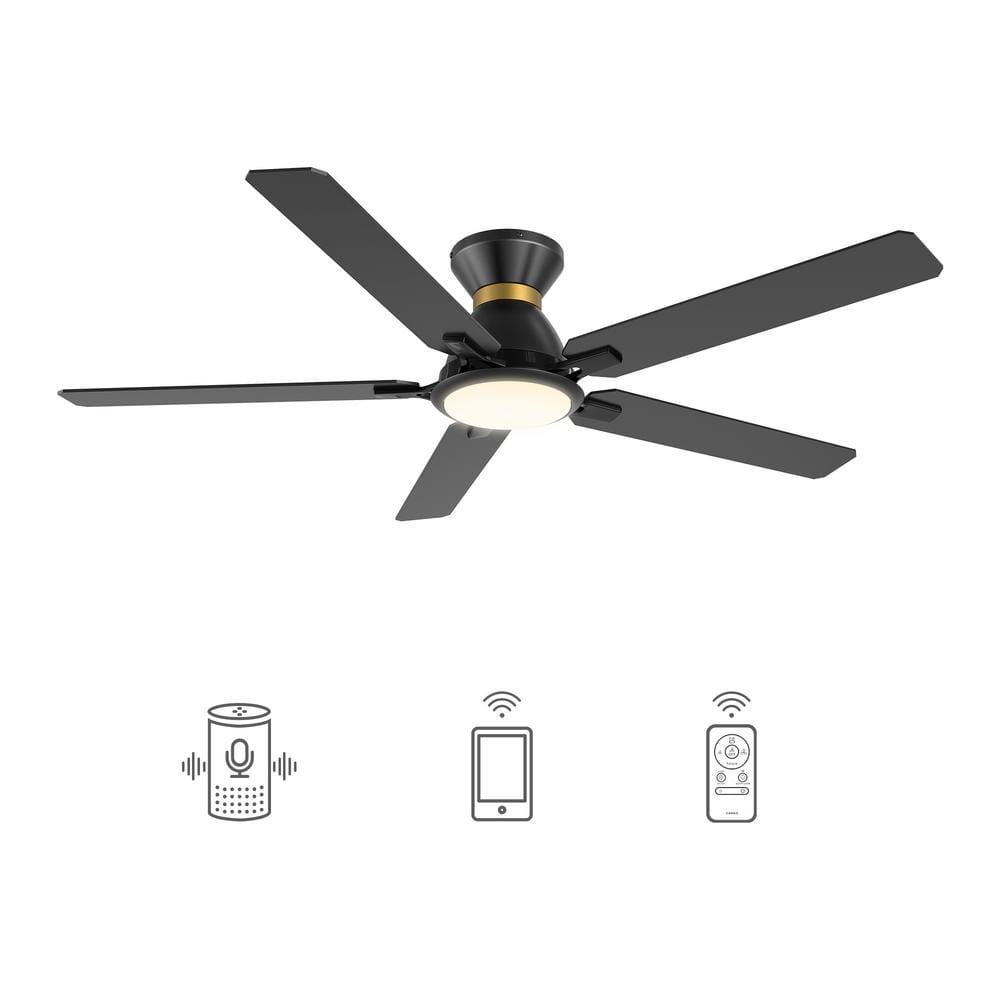 CARRO Essex 52 in Dimmable LED IndoorOutdoor Black Smart Ceiling Fan with Light and Remote Works with AlexaGoogle Home