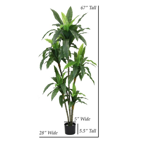 The Mod Greenhouse Artificial Dracaena Plant in Black Matte Planter's Pot