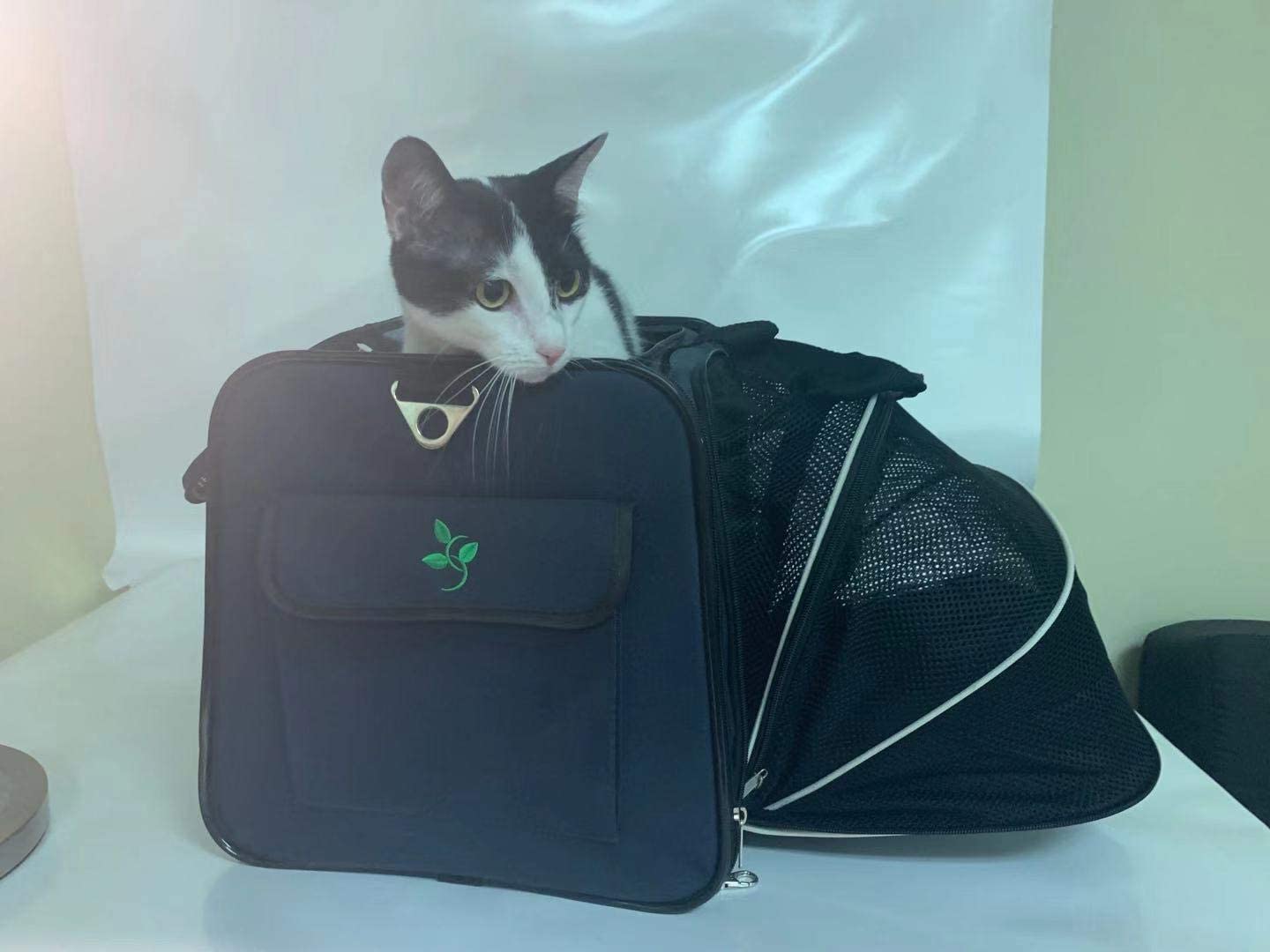 Portable pet Carrier Folding Soft Pet Travel Bag Airline Approved Pet Bag for Small Medium Cats Dog Puppies