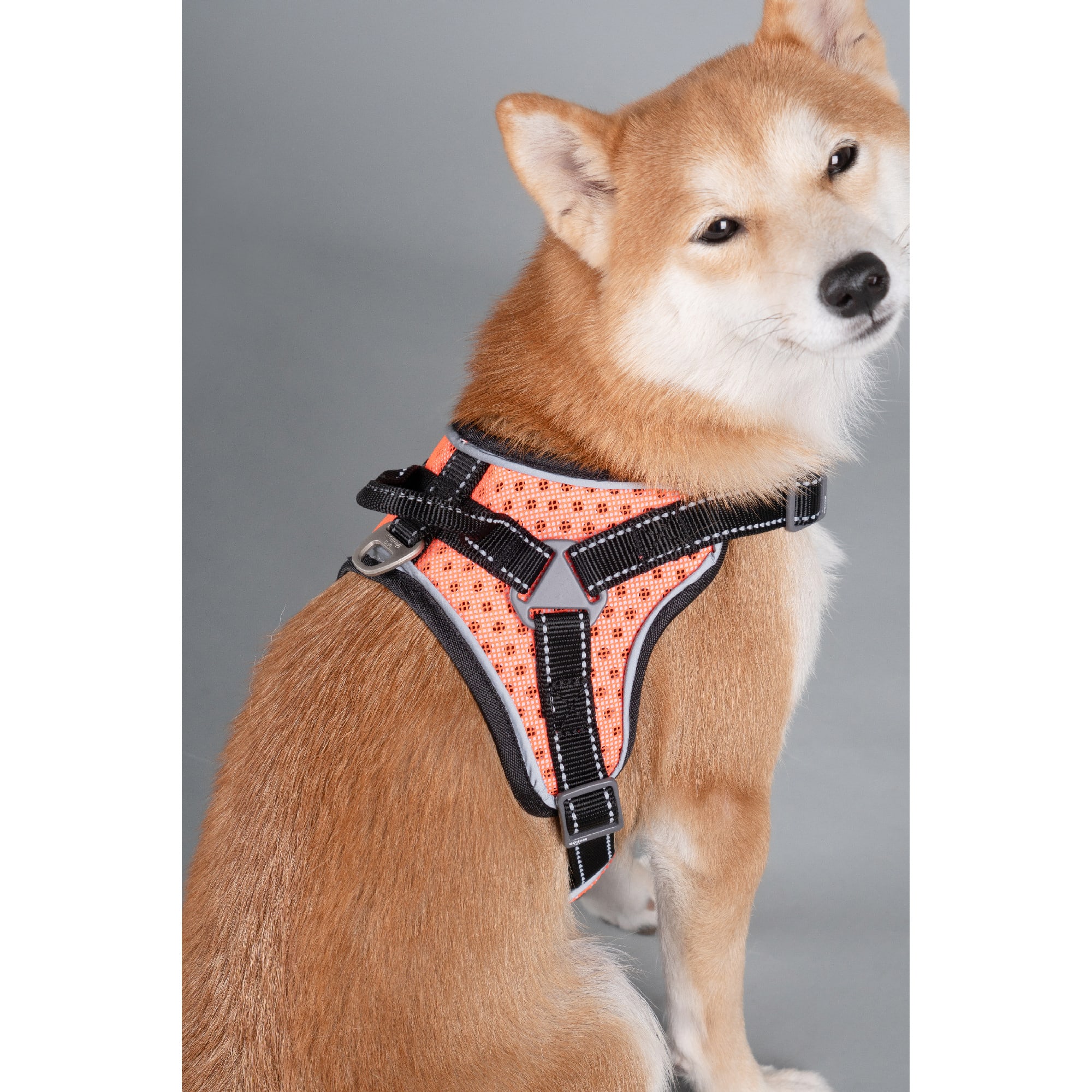 Dog Helios Orange Scorpion Sporty High-Performance Free-Range Dog Harness， Small