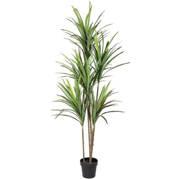 Green Artificial Dracaena Marginata Plant In Black Pot 5.5'