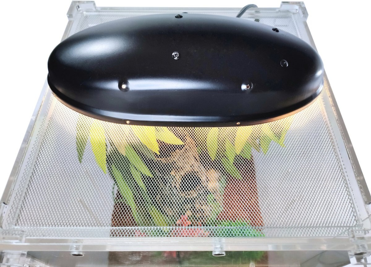 HerpCult Acrylic Front-Opening Reptile Habitat， 7-gal