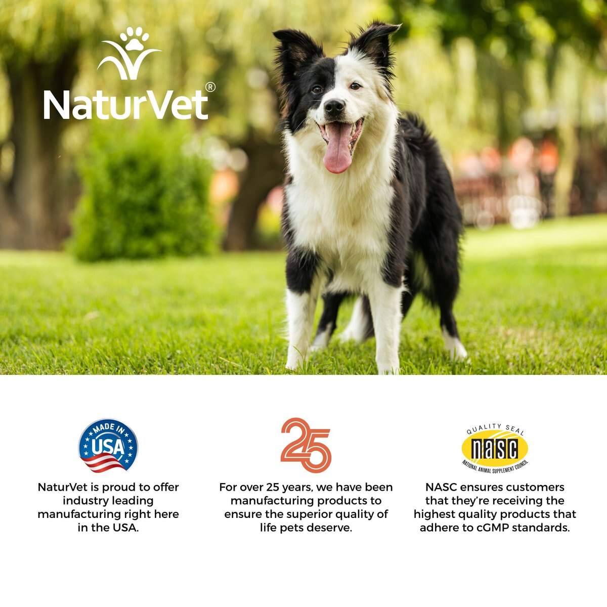 NaturVet VitaPet Adult Plus Breath Aid Chewable Tablets Multivitamin for Dogs