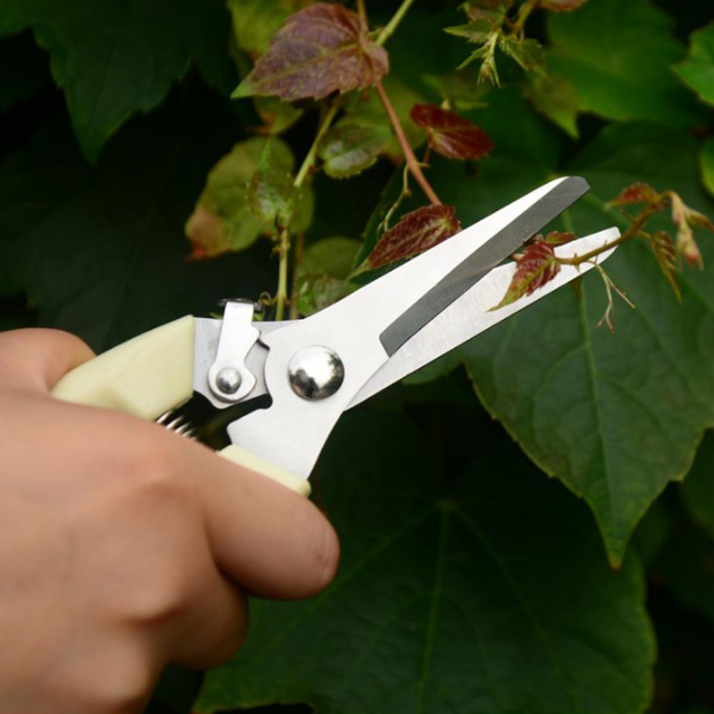 Bonsai Pruning Branch Secateur with Anti-slip Handle Cutting Hand Tools