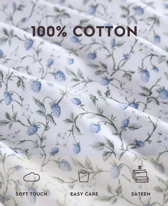 Laura Ashley Bramble Vine Cotton Sateen 4-Pc. Sheet Set， Queen