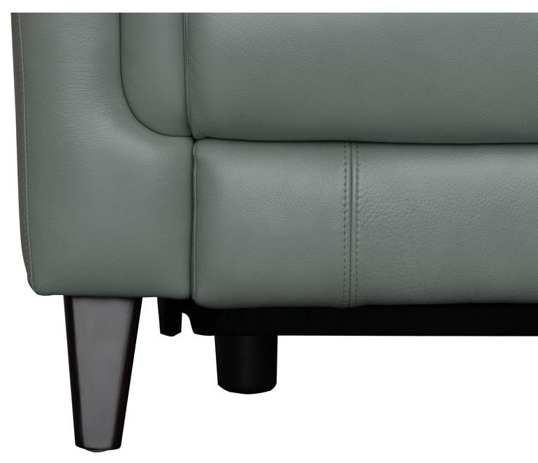 9PH 3716 Kester Power Recliner  Mint   Contemporary   Recliner Chairs   by BisonOffice  Houzz