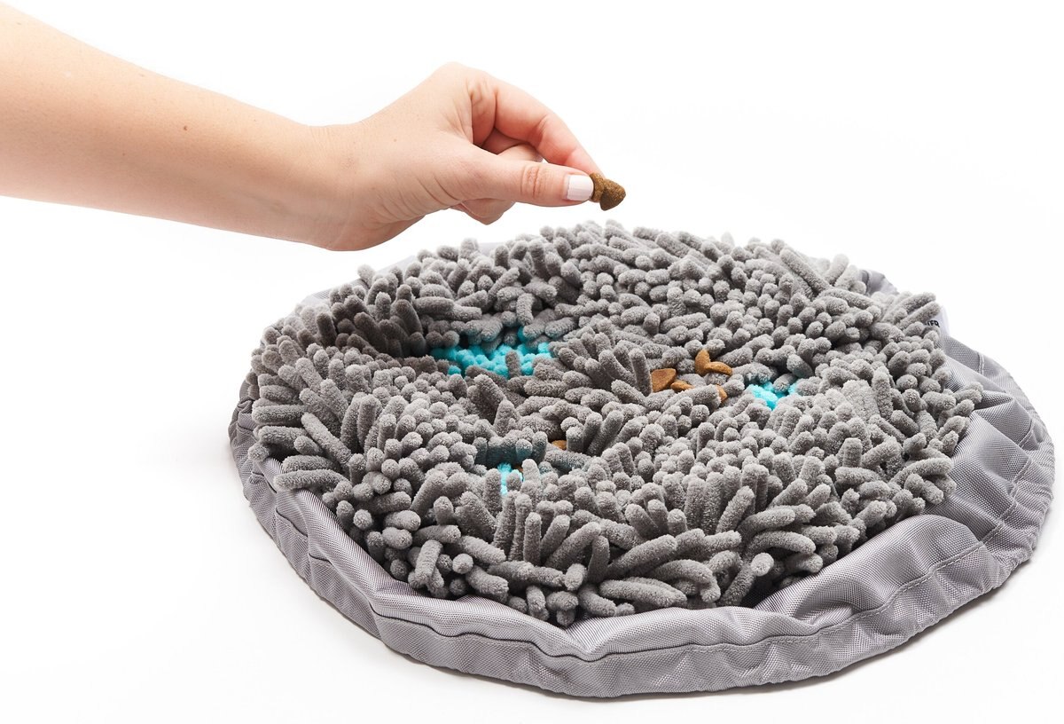 Pet Parents Forager Snuffle Mat and Slow Feeder Dog Bowl