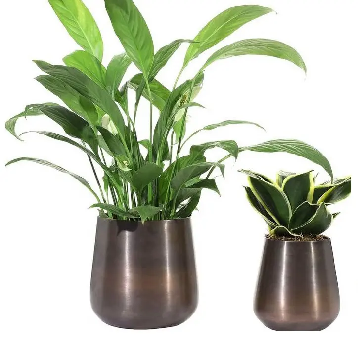 Best Classic Design Gold Polished Metal Planters for Garden Home Decorative Plant Custom Shape Flower Pot Luxury Floor Planter