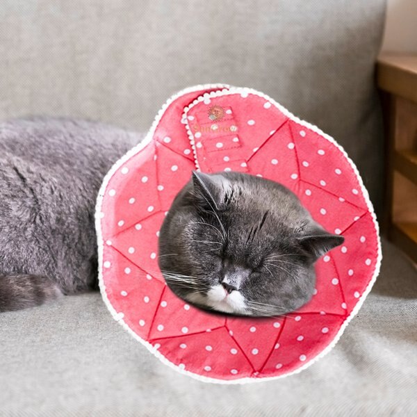 SunGrow Post-Surgery Soft Cone Dog and Cat Recovery Collar