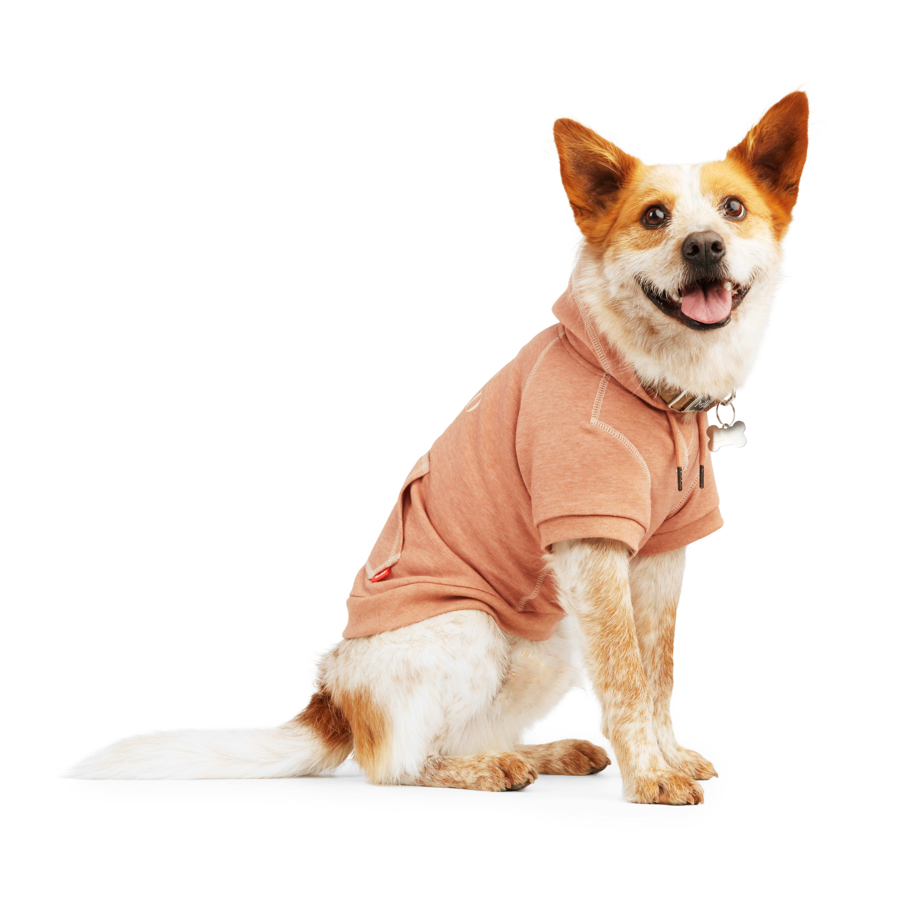 Reddy Copper BFF Dog Hoodie， X-Small