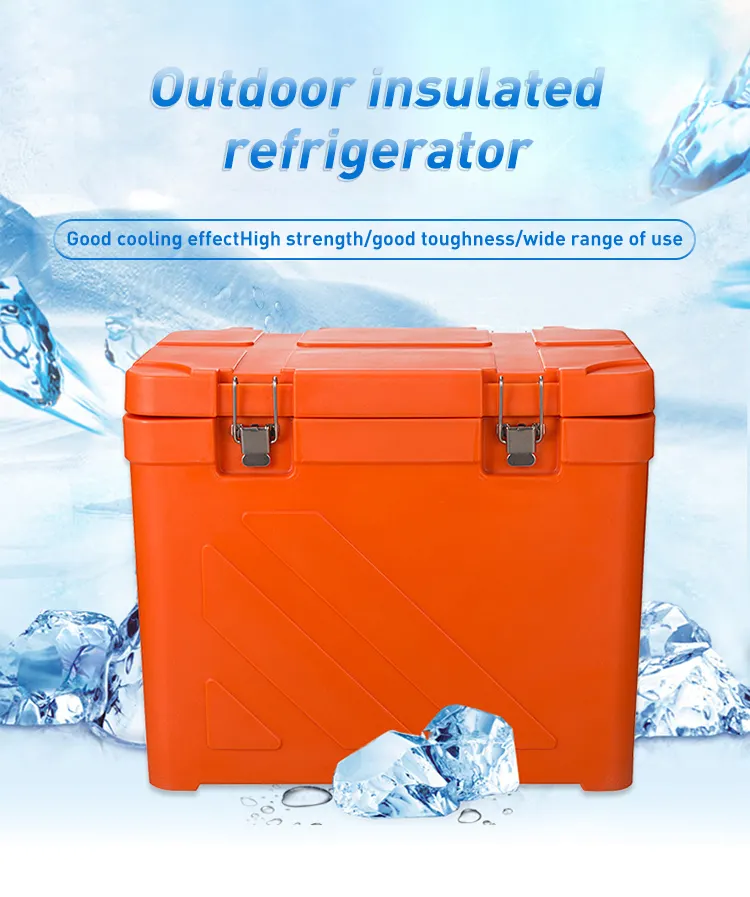 Wholesale Picnic Rotomolded Coolers Custom Logo Hiking Fishing Camping Beer Ice Box Hard Cooler