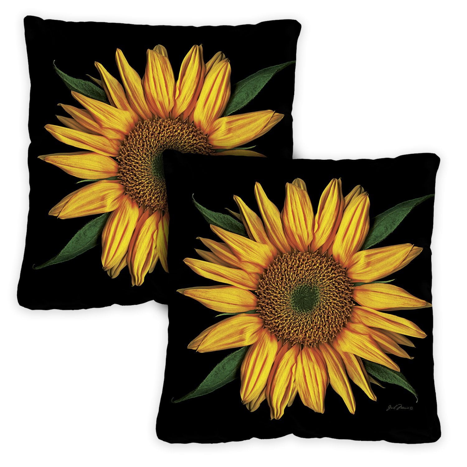 Toland Home Garden Set of 2 Sunflowers On Black Spring Pillow Covers 18x18 Inch Flower Throw Pillows