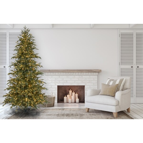 Forever Tree 7.5' Nordic Fir