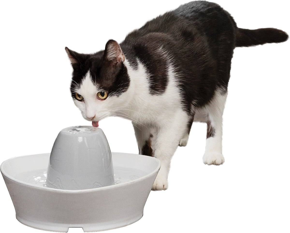 PetSafe Creekside Quiet Dog and Cat Fountain， 60-oz