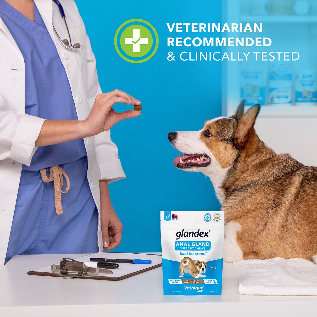 Vetnique Labs Glandex Anal Gland and Probiotic Pork Flavored Pumpkin Fiber and Digestive Soft Chew Dog Supplement