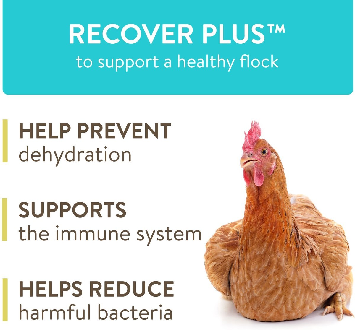 FlockLeader Recover Plus Poultry Supplement， 8-oz bag