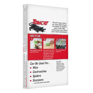 TOMCAT Super Hold Glue Traps Mouse Size for Mice Cockroaches Spiders and Scorpions Ready-To-Use 4 Traps 036271005