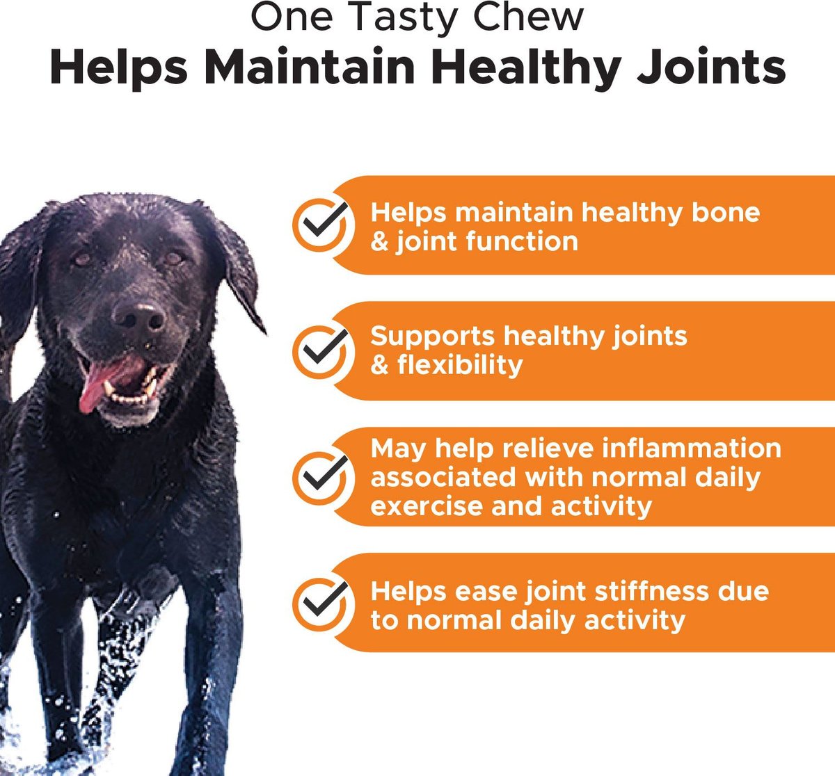 PetHonesty Hip + Joint Health Chicken Flavored Soft Chews Joint Supplement for Dogs