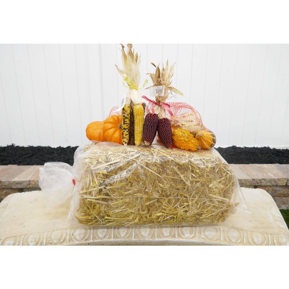 BELL NURSERY Mini Straw Bales 8 in. x 10 in. x 16 in. STRAWMINI1PK