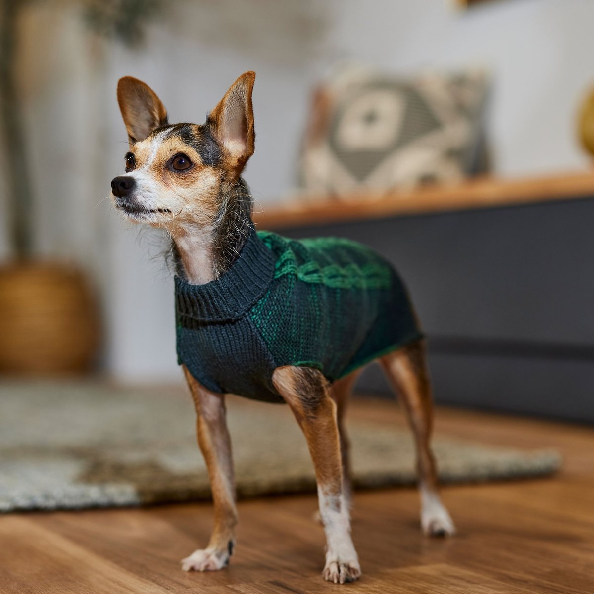 Frisco Multi Cable Dog and Cat Sweater