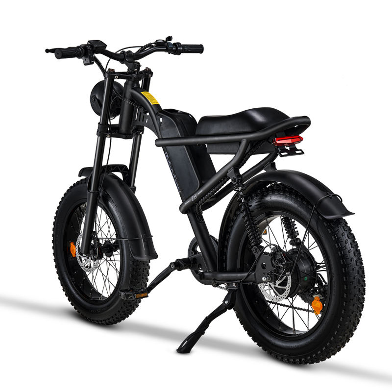 DROPSHIP ADULT BEACH Z8 ELECTRIC BIKE BICYCLE with Thumb throttle